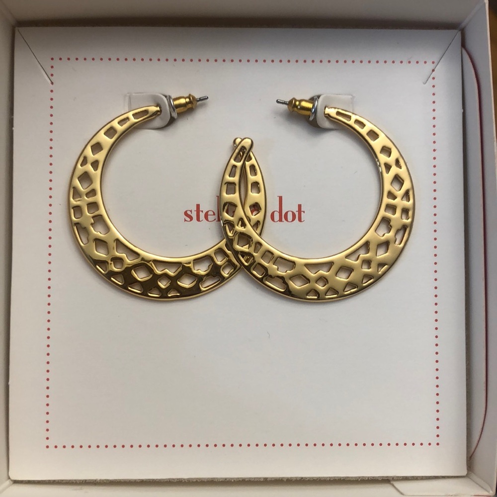 Stella and Dot earrings